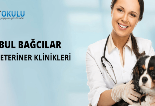 Bagcilar Veterinary Clinics