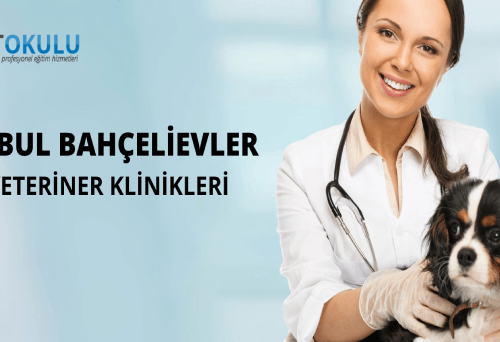 Bahcelievler Veterinary Clinics