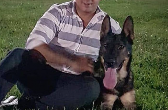 Egitim Hakkinda Blog Yazilari Pet Okulu