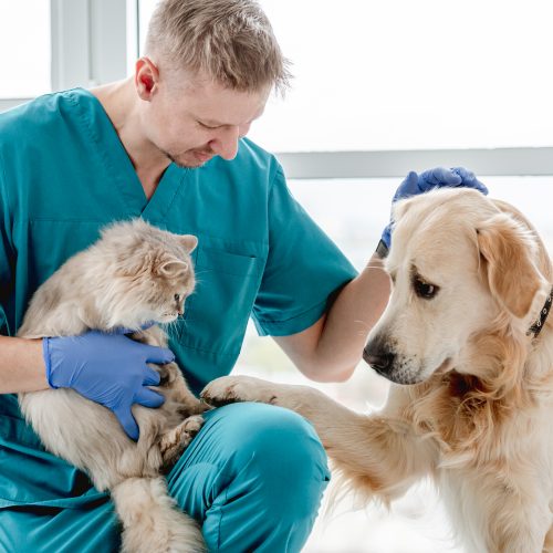 Veterinary Selection
