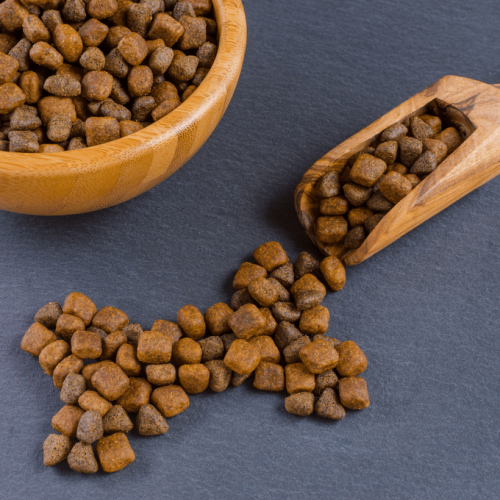Healthy Digestive Supporter Top 7 Grain Free Dog Foods